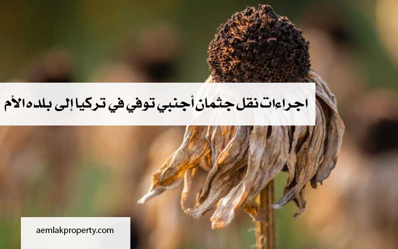 الجنازة