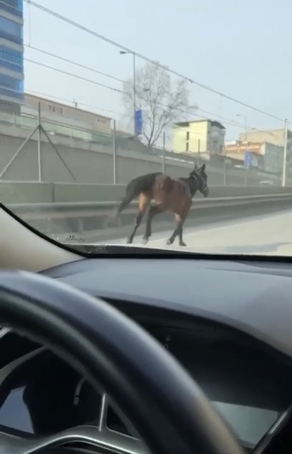 بورصة