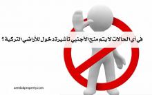 فيزا