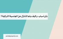 الجنسية التركية