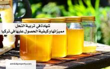 الزراعة 