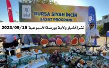 BURSA